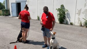 Attenzione in presenza di un altro cane