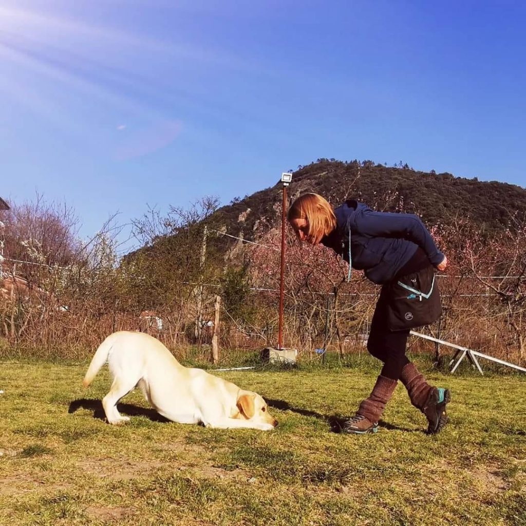 Ilaria Boero clicker training