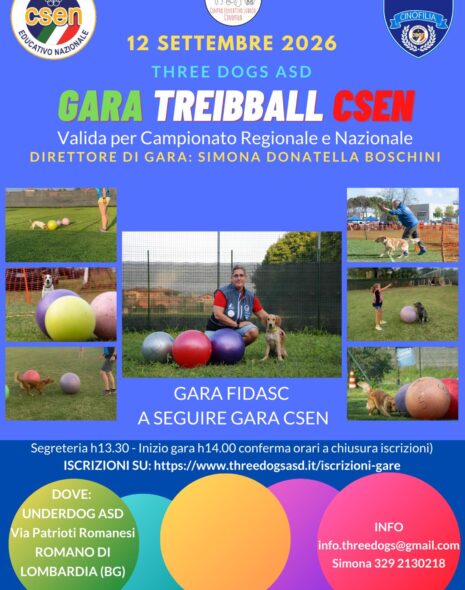 Gara treibball Csen