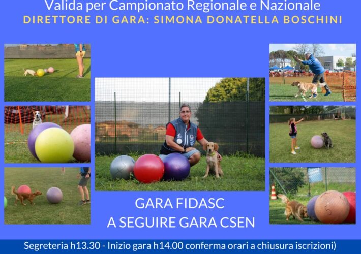 Gara treibball Csen