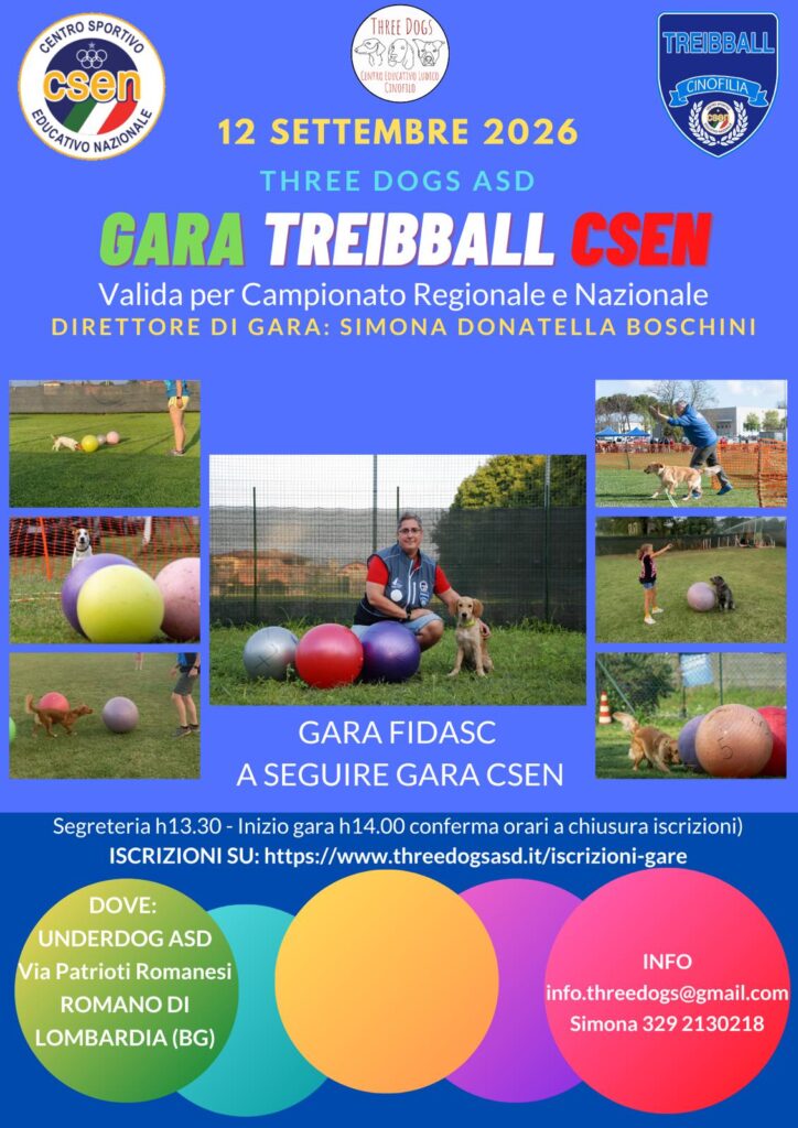 Gara treibball Csen