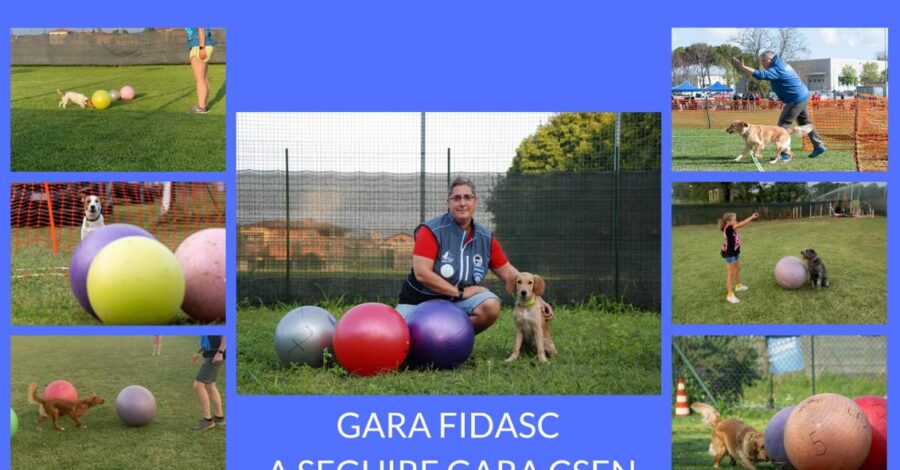 Gara treibball Csen