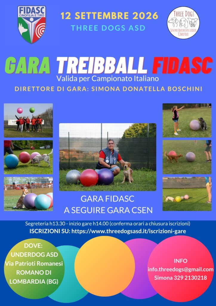 Gara treibball Fidasc